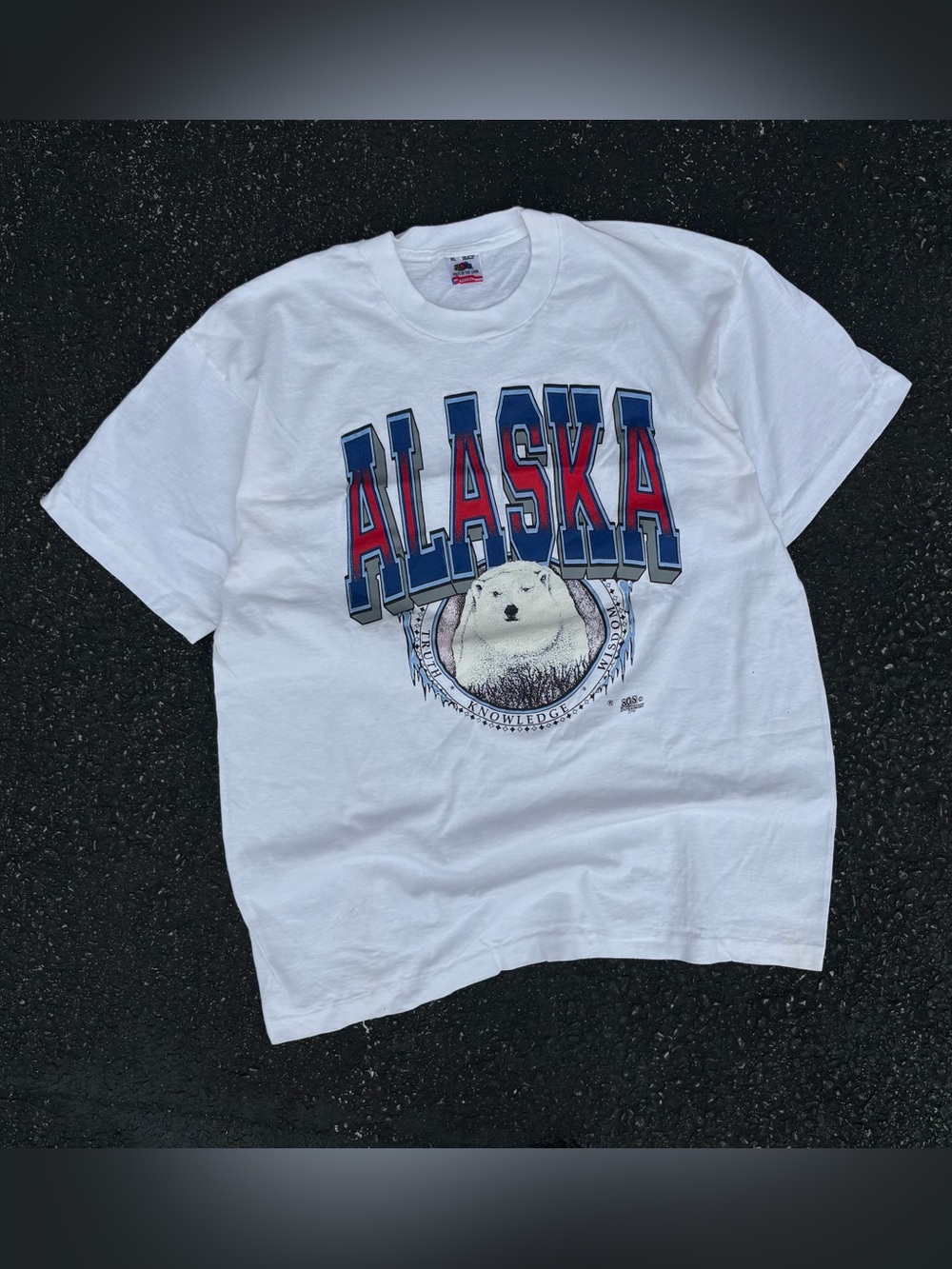 Vintage 90s Fruit Of The Loom Single Stitch Alaska Polar Bear Graphic T-Shirt XL